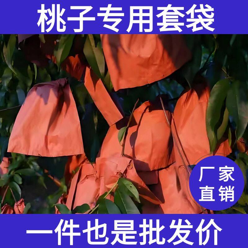 双层袋早熟晚熟中蟠秋彤桃映霜红桃中华寿桃突围桃专用袋德国品质