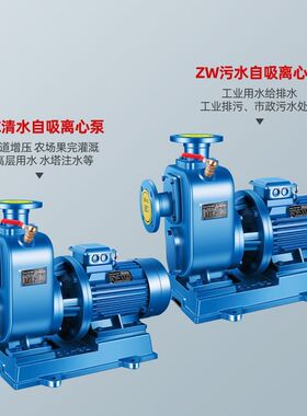 德国品质BZ自吸泵卧式管道离心泵380v污水泵抽水ZW自吸式无堵塞排