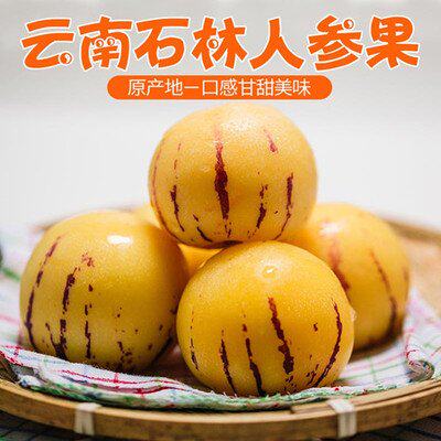 云南石林人参果当季新鲜水果大果黄肉黄心圆果低糖孕期都可放心吃