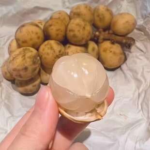 泰国进口空运直达龙宫果老树果鲜椰色果 鲜甜味浓爆汁包顺丰