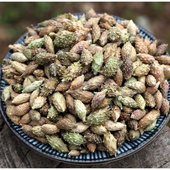 中药材内蒙野生苍耳子500g 苍耳新货苍耳子鼻苍耳草毛苍子 包邮