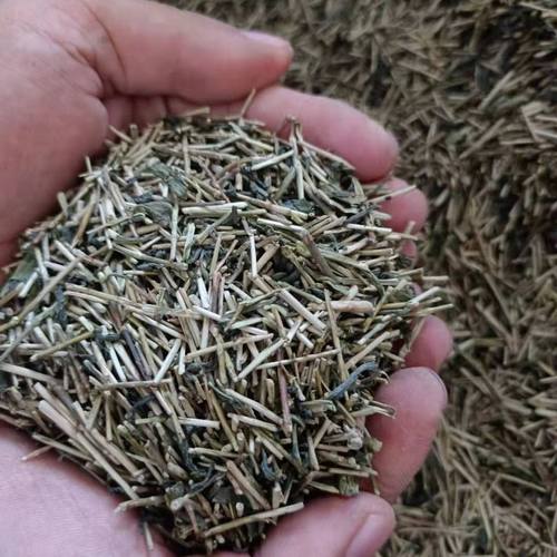 茶叶梗猫砂去味去甲醛无尘吸水除臭5斤10斤去味茶叶梗装去除异味