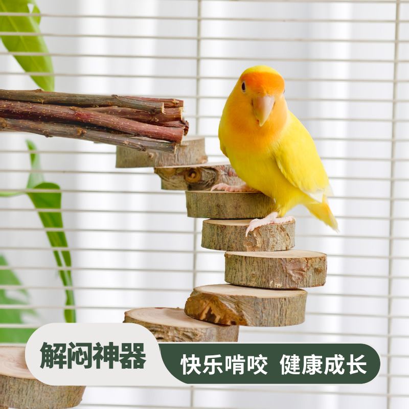 鹦鹉专用树枝站棒攀爬啃咬磨牙玩具解闷自嗨牡丹玄凤和尚玩具大全