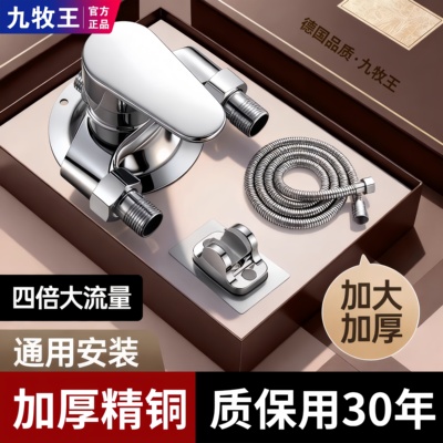 九牧王全铜热水器明装混水阀冷热