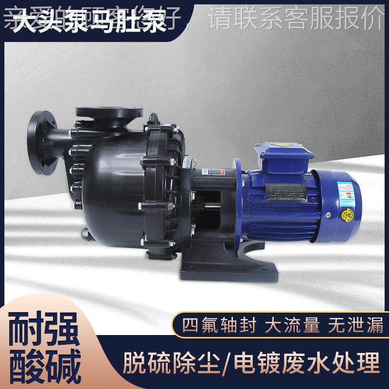 马肚化泵塑料工泵泵镀耐腐蚀水泵大QOG头泵电槽外泵卧式耐酸碱自