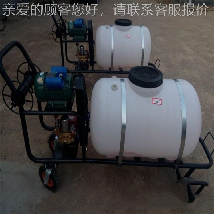 鲁工喷雾洒水打药机菜 手推高压200L喷雾 蔬拉管式喷药雾器打车