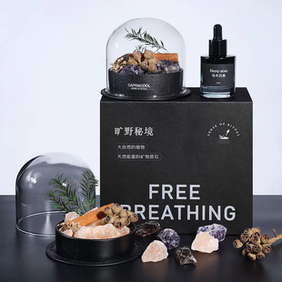 Wally鼎顺旷野秘境扩香石香薰礼盒精油香氛家用高级摆件毕业礼物