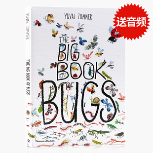 儿童虫子读物英语启蒙 大开本精美插图 虫子大书 Book Big 自然科普艺术 The 百花大绘本精装 进口英文原版 Bugs 正版