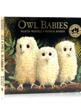 小猫头鹰 Owl Babies 猫头鹰宝宝 英文原版绘本纸板书廖彩杏推荐书单 儿童启蒙入门 Martin Waddell马丁韦德尔 亲子绘本