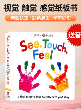 See Touch Feel 英文原版绘本 看触觉视觉感官认知 A First Sensory Book 低幼儿童英语早教启蒙绘本亲子互动游戏概念书内附小镜子
