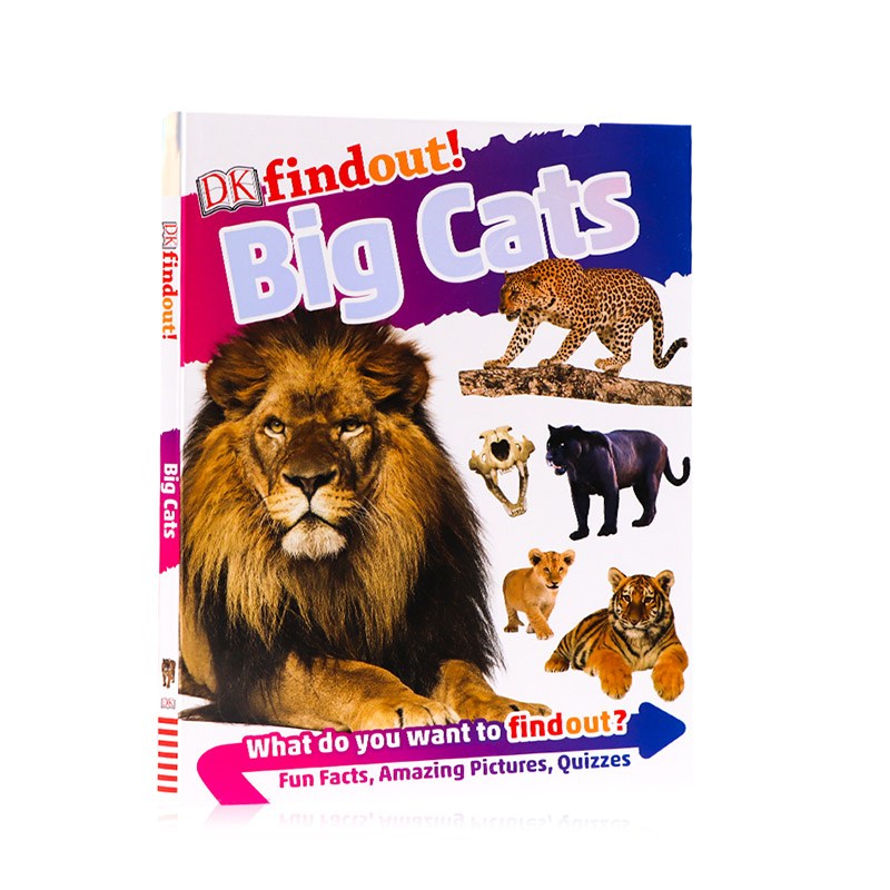 DK findout! Big Cats 发现知识系列 大型猫科动物  进口英文原版英语读物 软精装 狮子老虎猎豹科普百科儿童科普百科