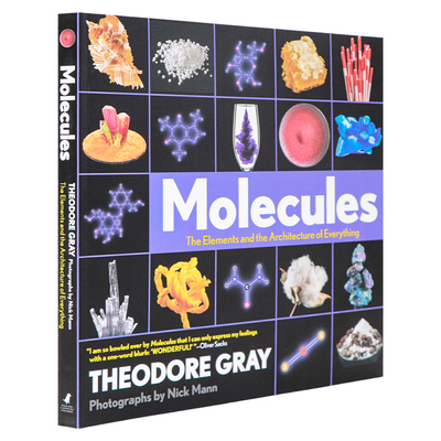分子 元素与万物架构 英文原版 Molecules The Elements and the Architecture of Everything 平装 青少年儿童英语科普百科读物