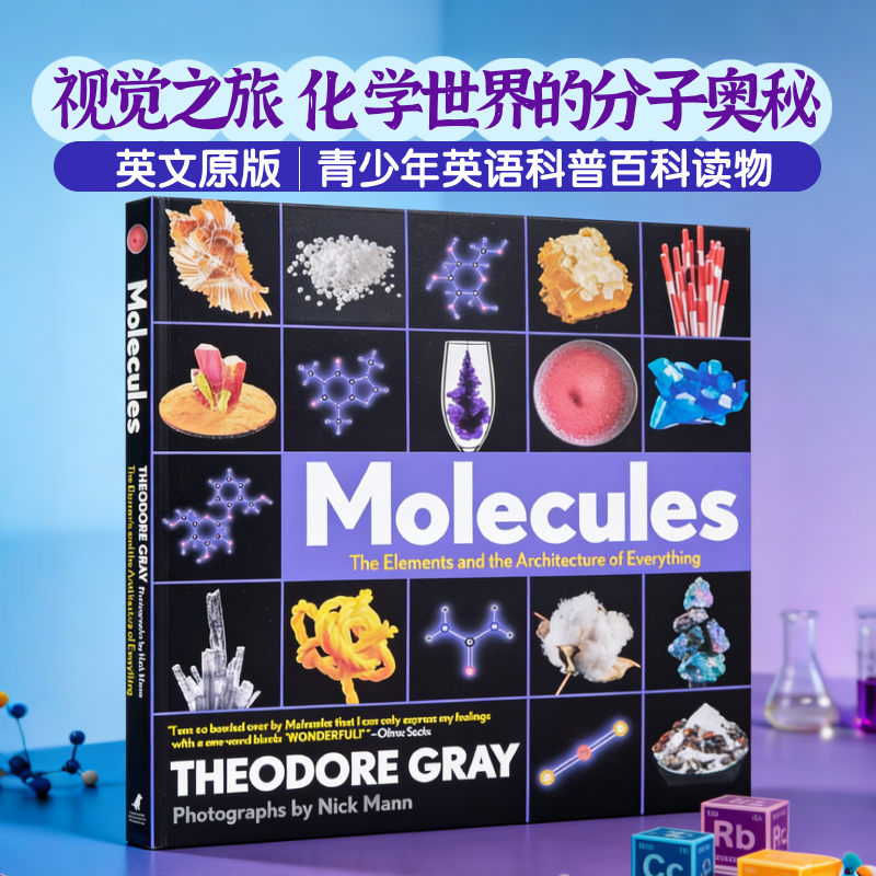 英文原版 视觉之旅 化学世界的分子奥秘 Molecules The Elements and the Architecture of Everything青少年儿童英语科普百科读物