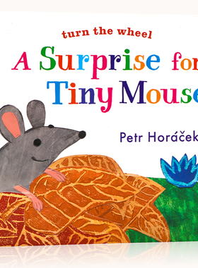 给小老鼠的惊喜 英文原版A Surprise for Tiny Mouse儿童英语启蒙色彩天气认知图画书转盘操作纸板洞洞书亲子互动名家Petr Horacek