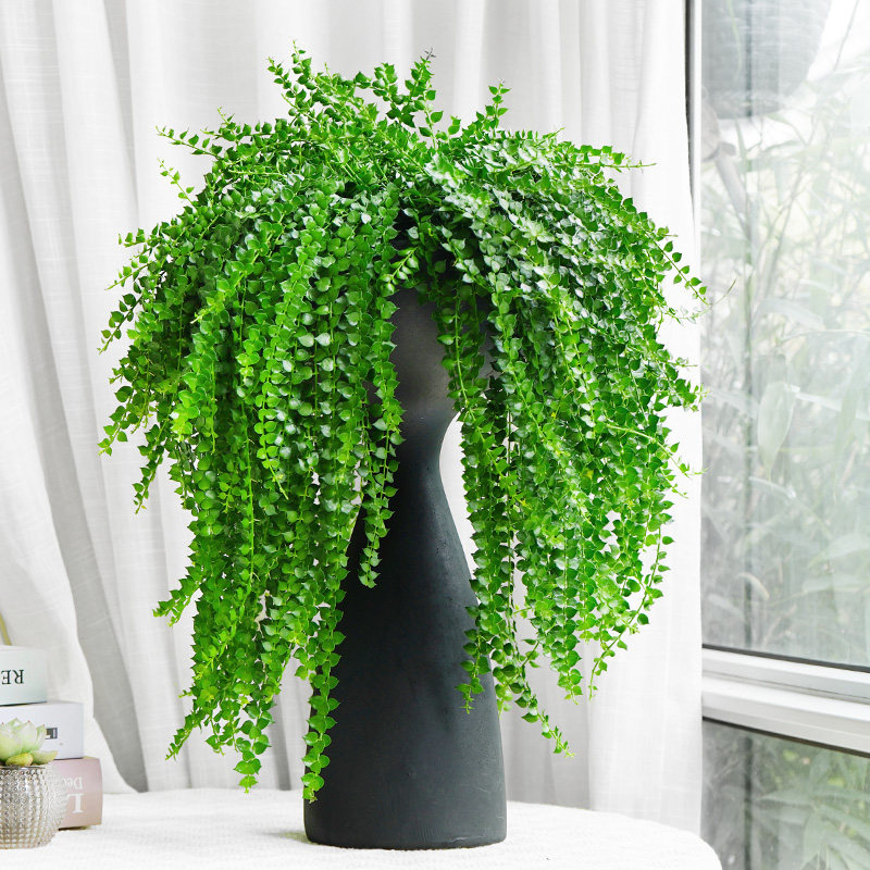 百万心吊兰好养绿色植物办公室内净化空气易养活垂吊绿植盆栽花卉