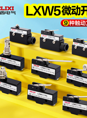 德力西微动开关机床行程方向滚轮调节控制保护LXW5-11Q1 M D1 N1