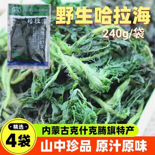 山野菜哈拉海内蒙赤峰特产克旗乌兰布统草原野生盐水哈拉海炖土豆