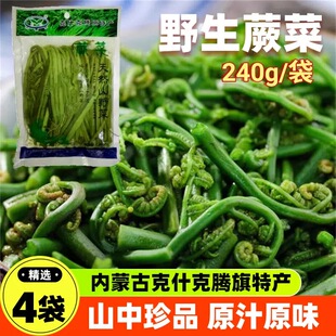 野生蕨菜克什克腾旗山野菜乌兰布统草原嫩芽火锅凉拌菜内蒙古特产