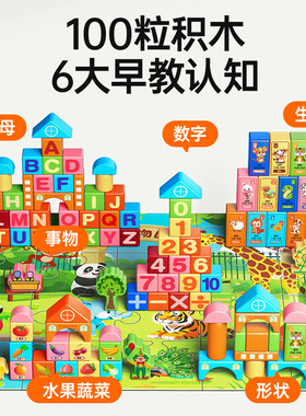 积木玩具大颗粒早教益智婴0儿童3