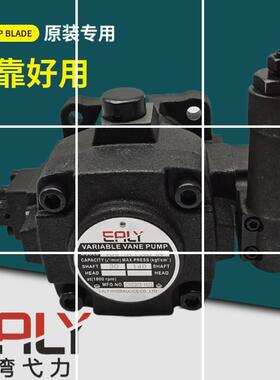 VDC-1A-F40D-20 F20 F25 F30 A B C D 9T 中压变量叶片泵