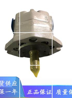 日本Toyooki丰兴齿轮油泵TCP5-L100-MRI-A;TCP5-L80-MR1-A