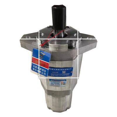 现货HCHC/CBQT-E563CF550/40/32/F410/416/25/20/32-AFHL齿轮泵P