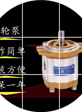 现货14.5长源-CBTDH齿轮泵F12.5/合肥/16/18/20-ALHR工程机械叉车