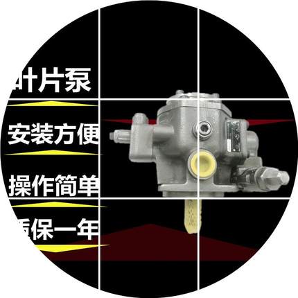 现货叶片1XPV7-1A118RE07MD0100 16/ 液压泵/100-/-16 油泵