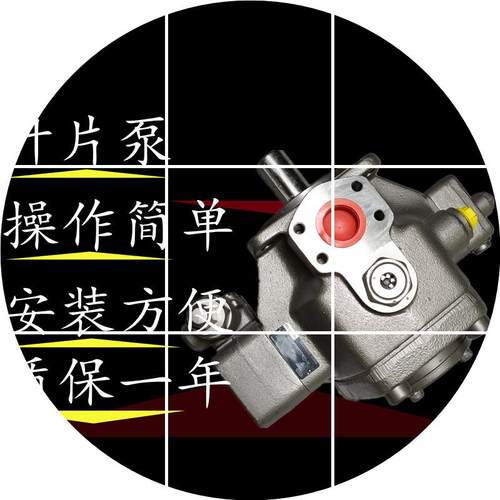 现货叶片泵PV7-1620RE01MCO25-30RE01MC0-1616PV7-17/16- -高压