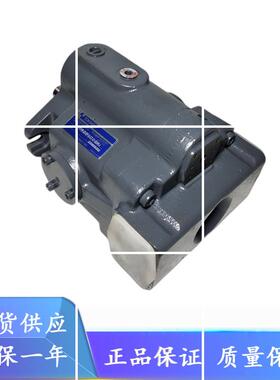 柱塞泵P31VL-20-EP-T-21-S138-J P31VR-20-CC-21-J