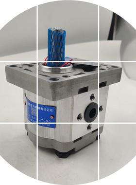 现货合肥长源齿轮泵/-F304CBWF306CLPF310///F320-ALP/AFP/F316/C