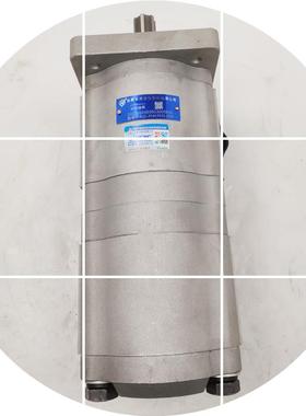 现货合肥双联长源齿轮泵F516-CBQLE563/F510/F540/ /F532/F520-CF