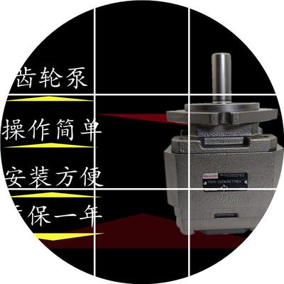 现货PGH4/30025040RE11VU2齿轮泵/040 32 25 20/- 40 21 50RE11VE