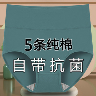 5条装 短裤 内裤 头大人全棉石墨烯三角高腰收腹大码 女纯棉裤 舒适2