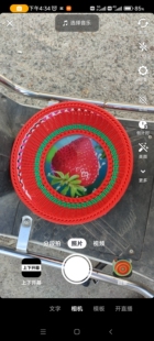 纯手工编织定制款客厅水果盘茶几瓜子盘收纳筐洗菜篮艺术品