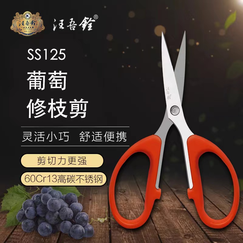汪吾铨梳果学生手工尖头葡萄剪刀