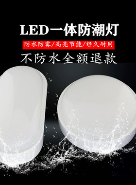 井道灯led防潮灯防爆防水灯浴室壁灯24v36v冷库灯电梯低压吸顶灯