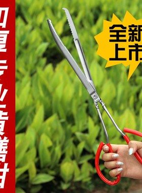 不锈钢黄鳝夹子鳝鱼夹泥鳅螃蟹钳子防滑防脱抓捉专用工具赶海神器