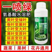 一喷绿氨基酸叶面肥果树专用蔬菜花卉通用微量元 素农用喷雾绿叶肥