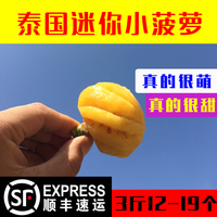 3斤装12-19个进口泰国普吉岛去皮即食迷你小菠萝新鲜削皮顺丰包邮