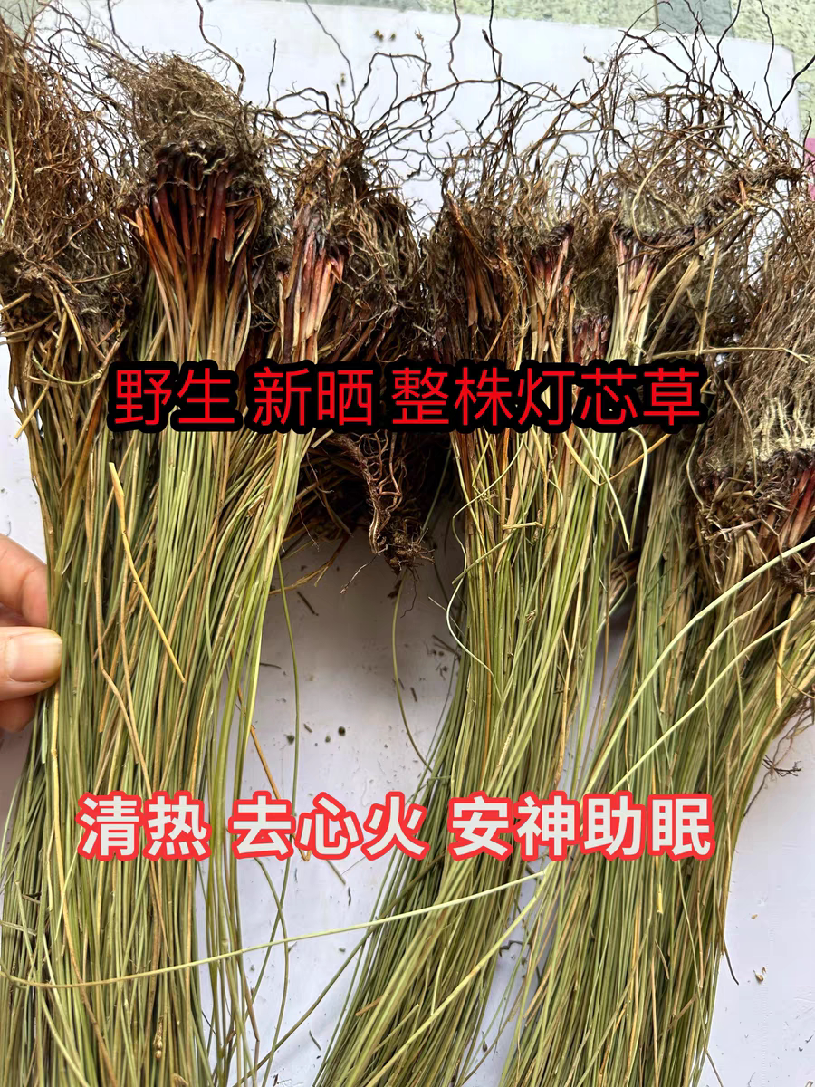 农家自采 野生灯心草 灯芯草 龙须草 干品500g图片