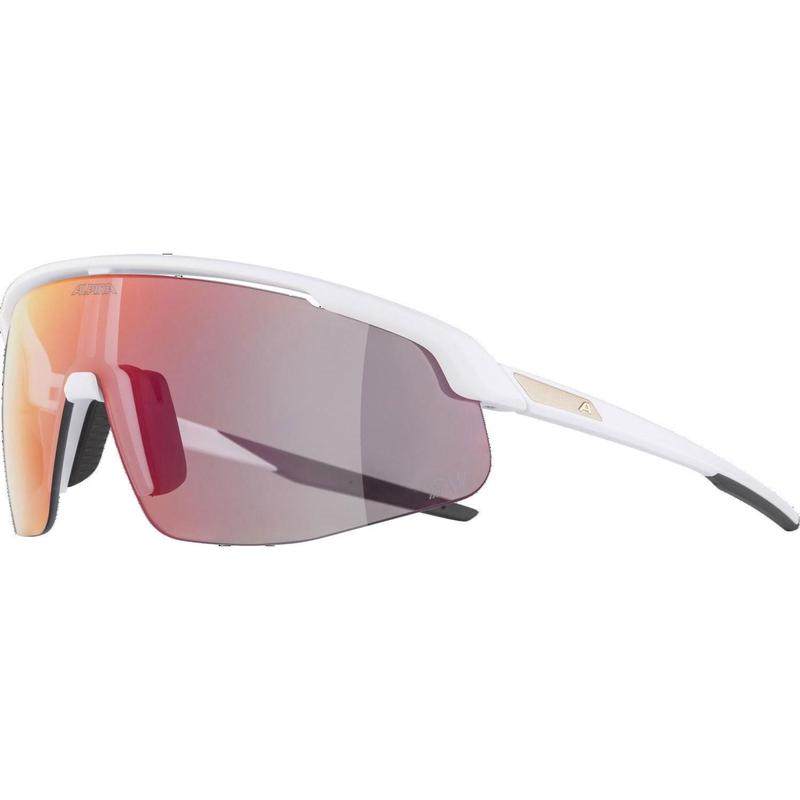 代购ALPINA阿佩纳男女滑雪镜防雾涂层自动变色偏光过滤UV防护