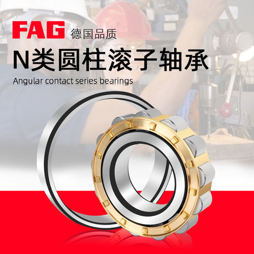 进口FAG圆柱轴承N311 N312 N313 N314 N315 N316 N317E-TVP2-M1C3