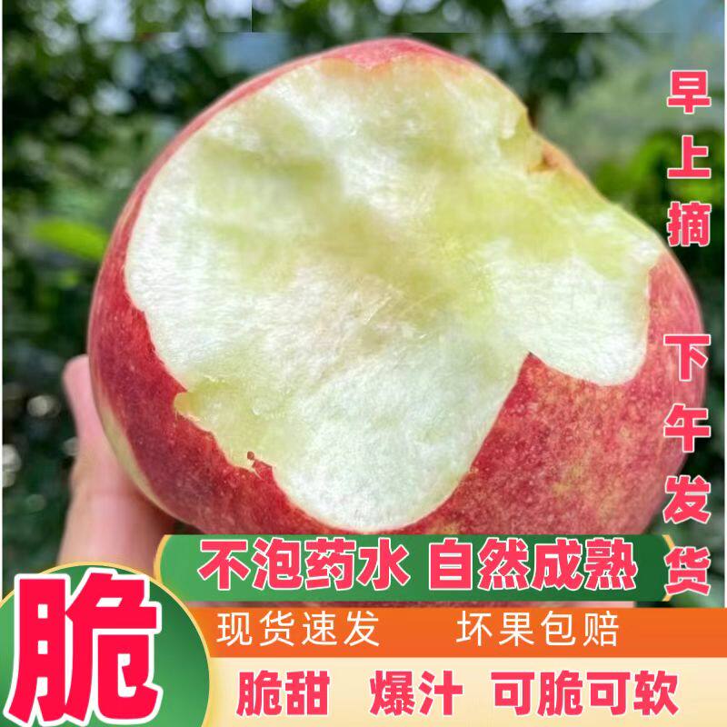 四川新鲜胭脂水蜜桃子脆甜硬应季现摘水果水蜜桃毛桃子5斤包邮