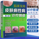 皮肤病书籍大全 第2版 常见皮肤病治疗书 皮肤性病学 临床皮肤性病学诊 正版 皮肤科医学书籍 临床实用皮肤病诊疗图谱