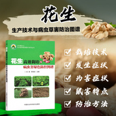 经济作物书籍 花生高效栽培与病虫害绿色防控图谱 肖涛 李艳芬编 正版 中国农业科学技术出版 书籍