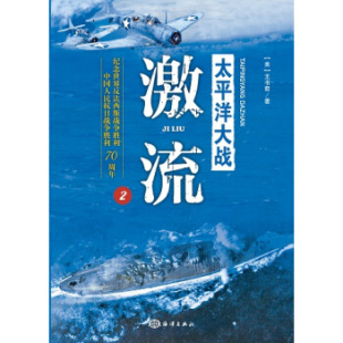 太平洋大战2 正版 激流