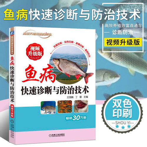 正版现货 鱼病快速诊断与防治技术 视频升J版 养鱼疾病书 搭高效池塘养鱼技术养鱼书籍大全 科学水产养殖书养鱼技术手册书籍
