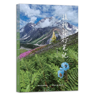 感受植物带来 视觉冲击 户外探索和旅行成了人们生活 植物旅行笔记 美好和与植物相处 魅力 记录植物 感悟 在旅行中探索大自然