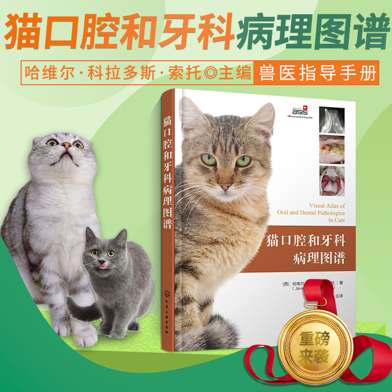 猫口腔和牙科病理图谱 猫牙科病理图谱治疗手册 犬猫组织学牙齿结构 犬猫齿系图谱 小动物牙周探查图例 宠物医生兽医入门参考书籍